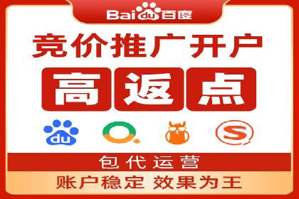 某某SEM团队成功案例：广告投放策略揭秘