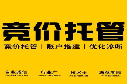 成功案例：专业SEM托管助力企业实现品牌升级